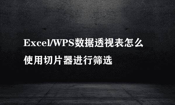 Excel/WPS数据透视表怎么使用切片器进行筛选