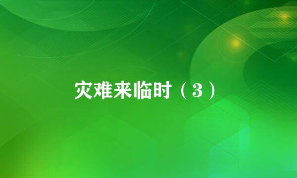 灾难来临时（3）