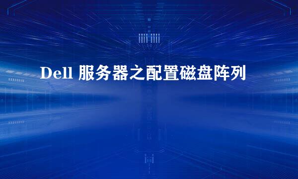 Dell 服务器之配置磁盘阵列