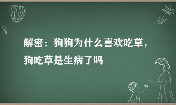 解密：狗狗为什么喜欢吃草，狗吃草是生病了吗