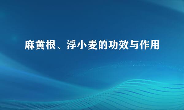 麻黄根、浮小麦的功效与作用