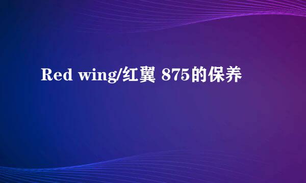 Red wing/红翼 875的保养
