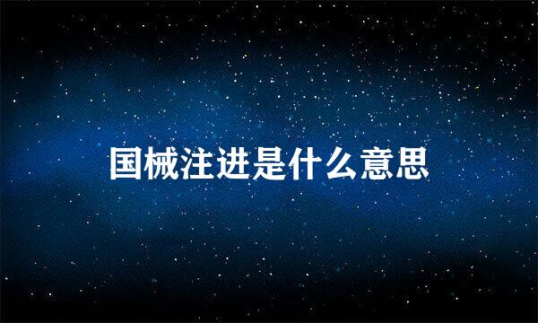国械注进是什么意思