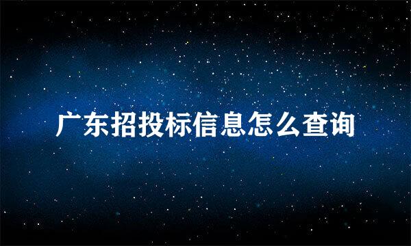 广东招投标信息怎么查询