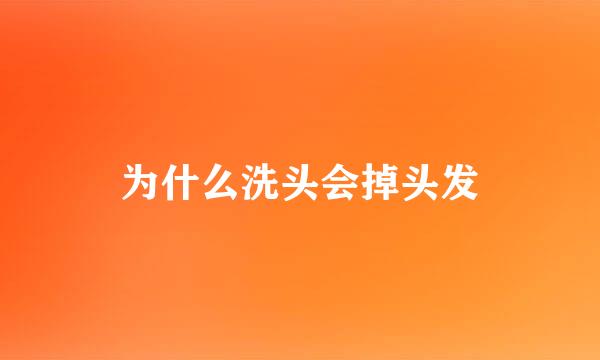 为什么洗头会掉头发
