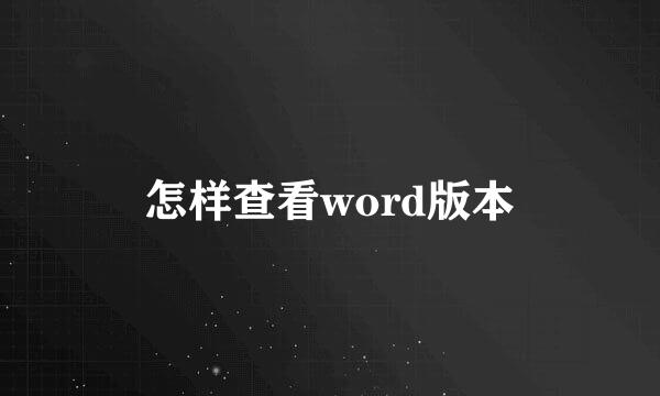 怎样查看word版本