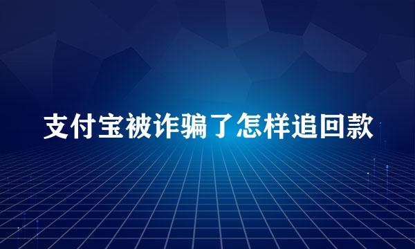 支付宝被诈骗了怎样追回款