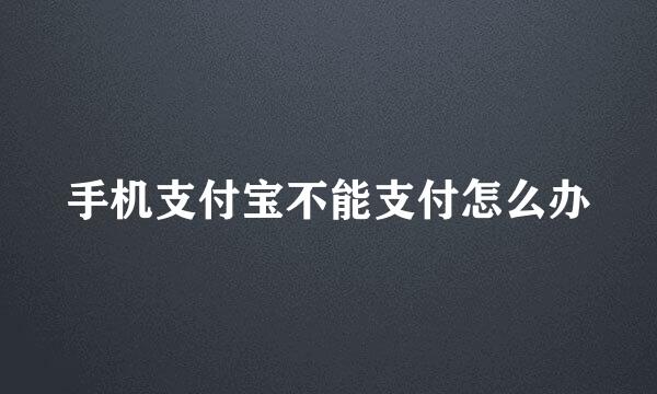 手机支付宝不能支付怎么办