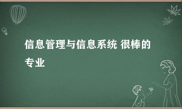 信息管理与信息系统 很棒的专业