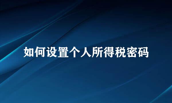 如何设置个人所得税密码