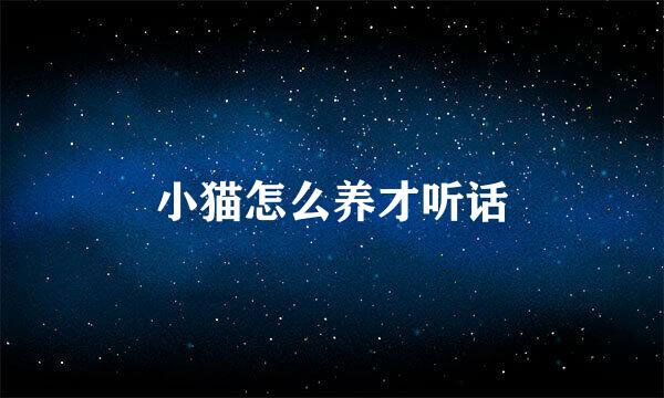 小猫怎么养才听话