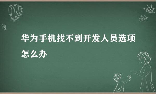 华为手机找不到开发人员选项怎么办