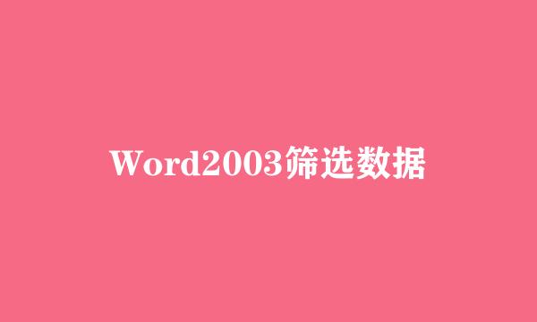 Word2003筛选数据