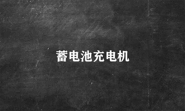 蓄电池充电机