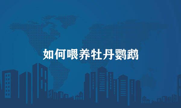 如何喂养牡丹鹦鹉