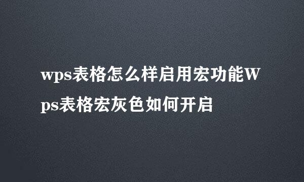 wps表格怎么样启用宏功能Wps表格宏灰色如何开启