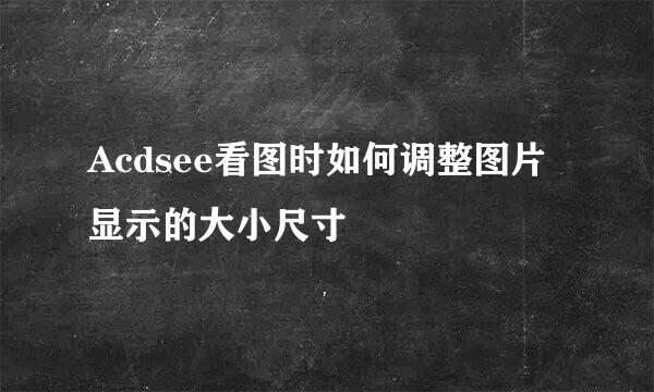 Acdsee看图时如何调整图片显示的大小尺寸