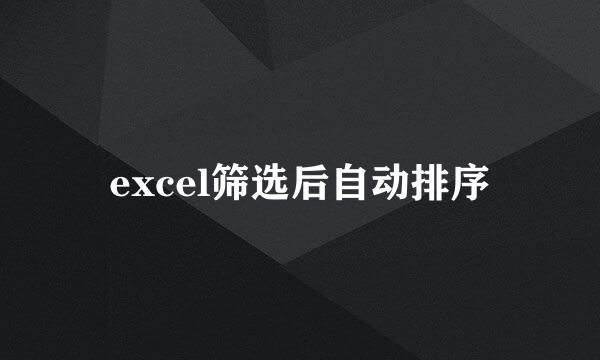 excel筛选后自动排序