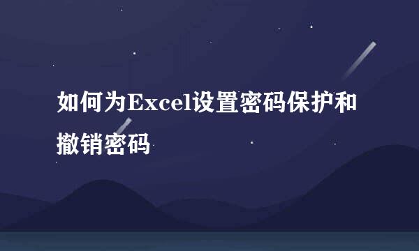 如何为Excel设置密码保护和撤销密码