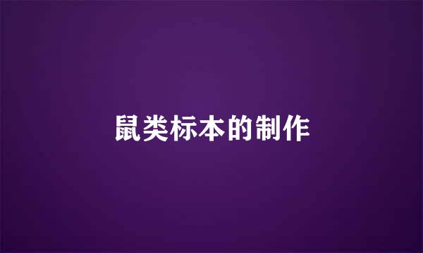 鼠类标本的制作