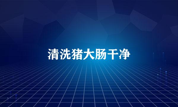 清洗猪大肠干净