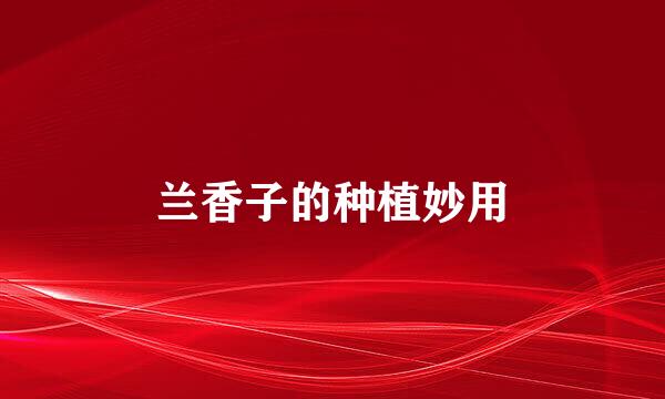 兰香子的种植妙用
