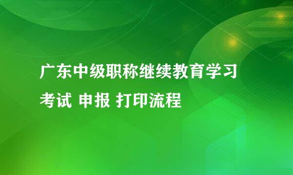 广东中级职称继续教育学习 考试 申报 打印流程