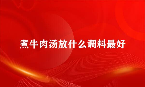 煮牛肉汤放什么调料最好
