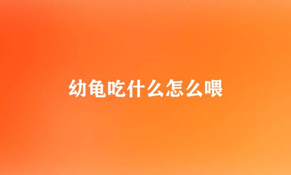 幼龟吃什么怎么喂