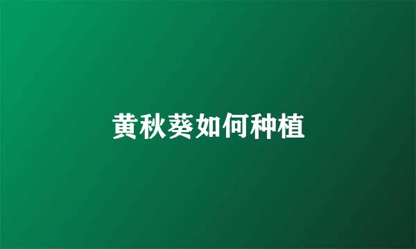 黄秋葵如何种植