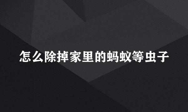 怎么除掉家里的蚂蚁等虫子