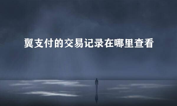 翼支付的交易记录在哪里查看