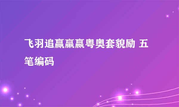 飞羽追赢羸嬴粤奥套貌励 五笔编码