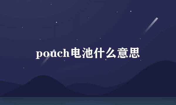 pouch电池什么意思