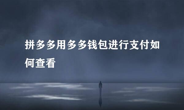 拼多多用多多钱包进行支付如何查看