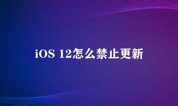iOS 12怎么禁止更新