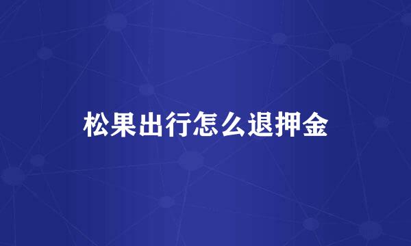 松果出行怎么退押金