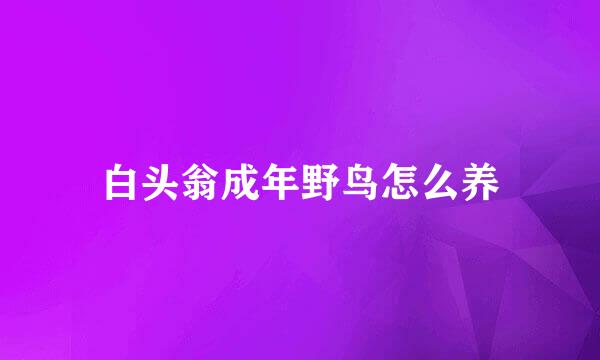 白头翁成年野鸟怎么养
