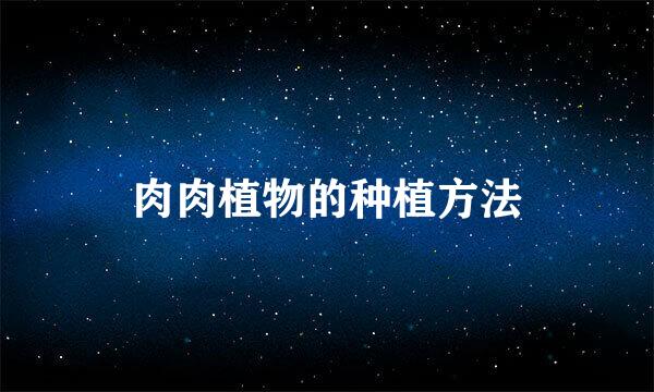 肉肉植物的种植方法