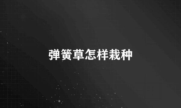 弹簧草怎样栽种