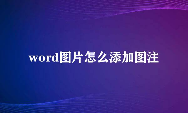 word图片怎么添加图注