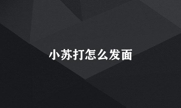 小苏打怎么发面