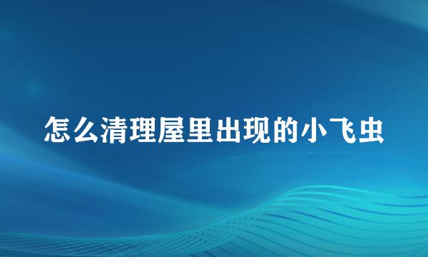 怎么清理屋里出现的小飞虫