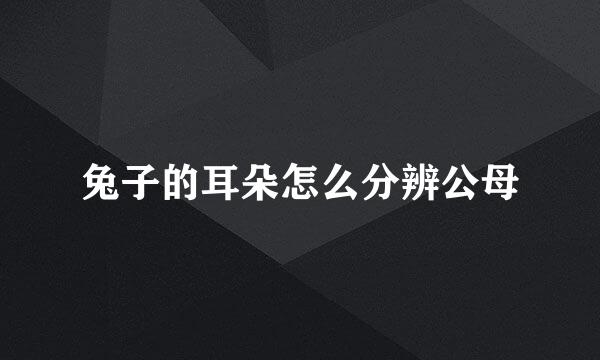 兔子的耳朵怎么分辨公母