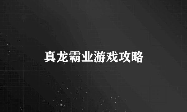 真龙霸业游戏攻略