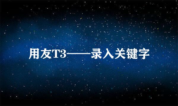 用友T3——录入关键字