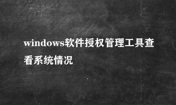 windows软件授权管理工具查看系统情况