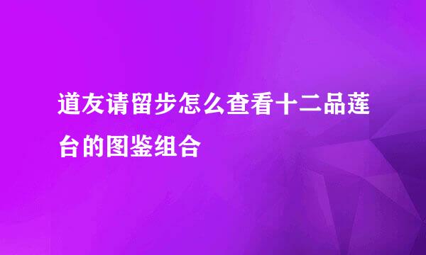 道友请留步怎么查看十二品莲台的图鉴组合