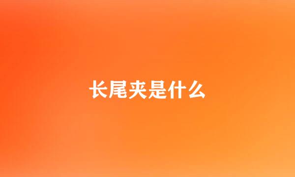 长尾夹是什么
