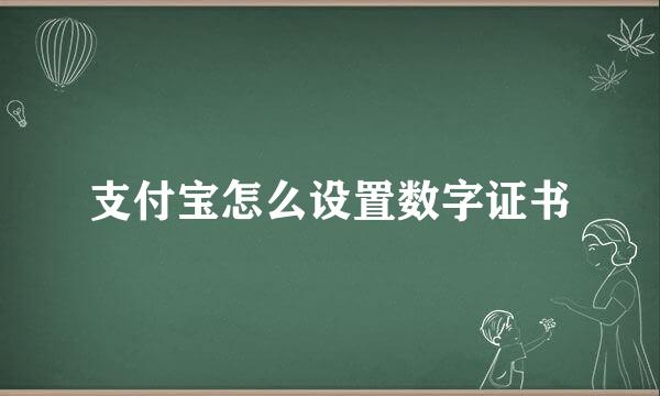 支付宝怎么设置数字证书
